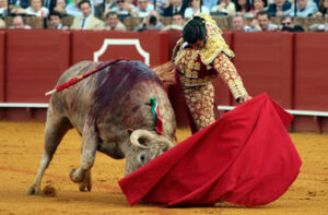 (Foto: Arjona)