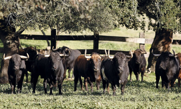 Aires nuevos en La Dehesilla