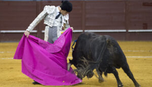 (Foto: Javier Arroyo)