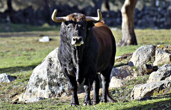 (Foto: Julián López)