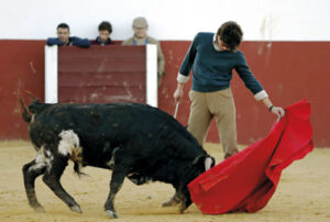 (Foto: Arjona)