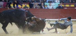 (Foto: Javier Arroyo)