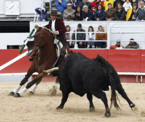 (Foto: Arjona)