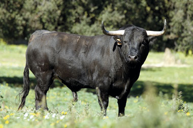 Tres hierros, tres encastes