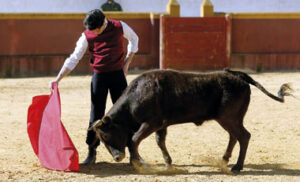 (Foto: Arjona)