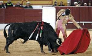 (Foto: Arjona)
