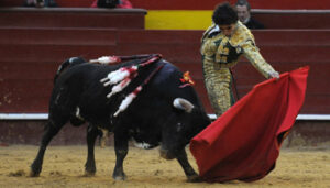 (Foto: RULLOT)