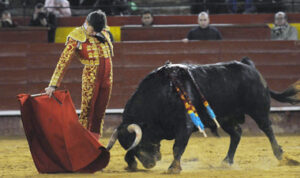 (Foto: RULLOT)