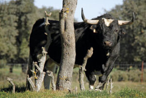 (Foto: Isma Sánchez)