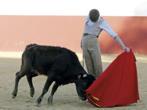 (Foto: Arjona)