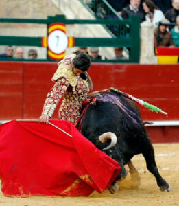 (Foto: Arjona)