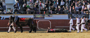(Foto: Roland Costedoat)