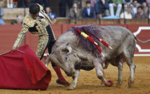 (Foto: Arjona)