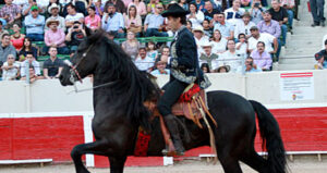 De esta guisa hubo de hacer el paseíllo el jinete navarro, con un caballo frisón en una silla charra.
