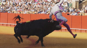 (Foto: Arjona)