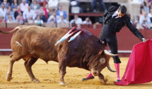 (Foto: Arjona)