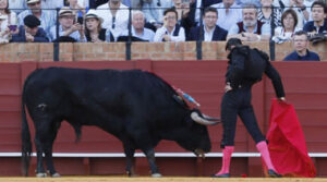 (Foto: Arjona)