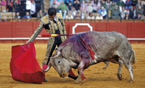 (Foto: Arjona)