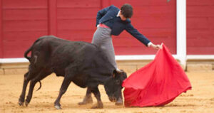 El madrileño cuajó una excelente vaca de Santa María de los Caballeros.
