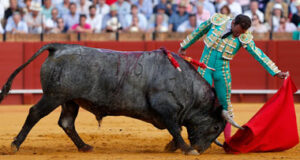 (Foto: González Arjona)