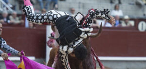 (Foto: Javier Arroyo)