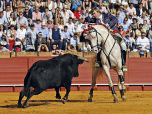 (Foto: González Arjona)
