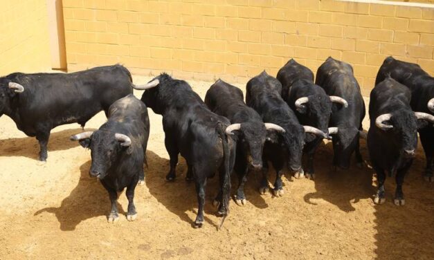 Listos los de Fermín Bohórquez