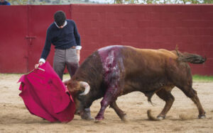 (Foto: José Luis Barral)