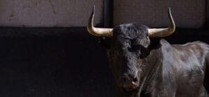 (Foto: www.las-ventas.com)
