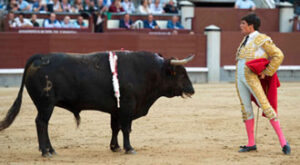 (Foto: Javier Arroyo)