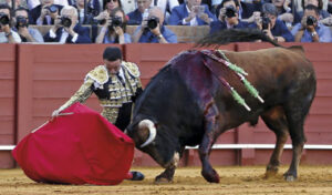 (Foto: Arjona)