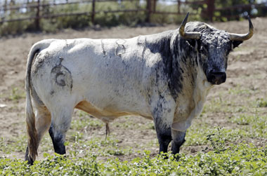 Un arranque memorable