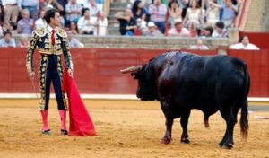 (Foto: Arjona)