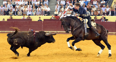 Continúa el hermoso idilio entre Pablo y Campo Pequeno