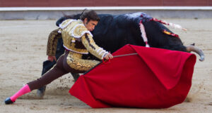 (Foto: Álvaro Marcos - www.las-ventas.com)