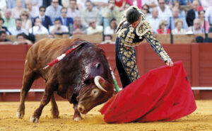 (Foto: Arjona)