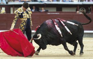 (Foto: Javier Arroyo)
