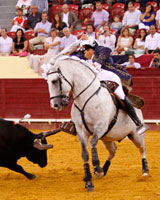 Paulo Caetano vuelve a los ruedos por sus 35 años de alternativa
