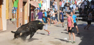 (Foto: Rullot)