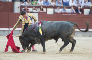 (Foto: Javier Arroyo)