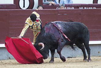 “Torear con las figuras es un sueño y un reto”
