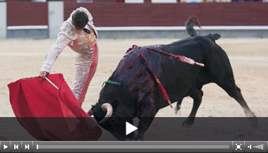 Gusta Alejandro Marcos