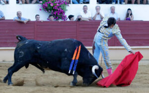 Roca Rey, en Saint Sever. (Foto: Roland Costedoat)