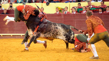 Rouxinol y los forcados de Alcochete arrasan en Lisboa