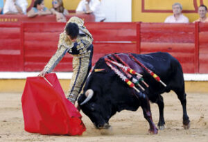 (Foto: Arjona)
