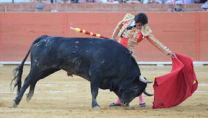 (Foto: J.F. Bascón)