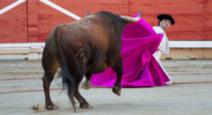 (Foto: Javier Arroyo)