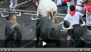 (Foto: Sanfermin.com)