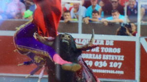 Momento del percance de Damián Castaño.