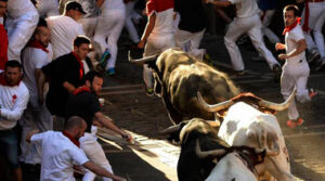 (Foto: RTVE.es)